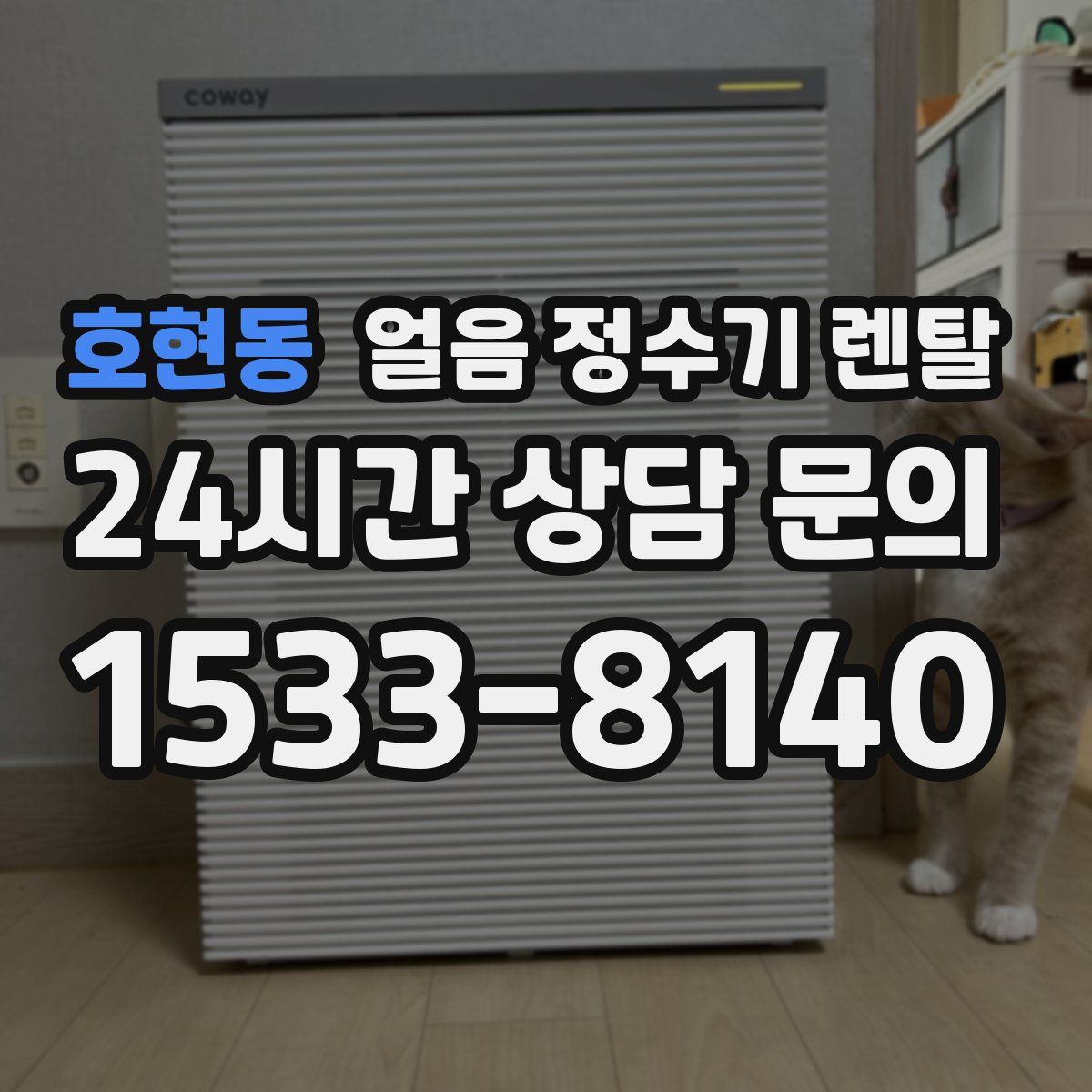 호현동 얼음 정수기 렌탈