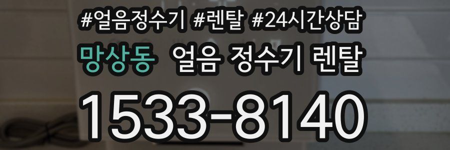 망상동 얼음 정수기 렌탈