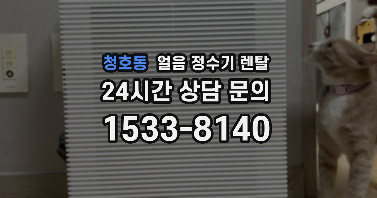 청호동 얼음 정수기 렌탈