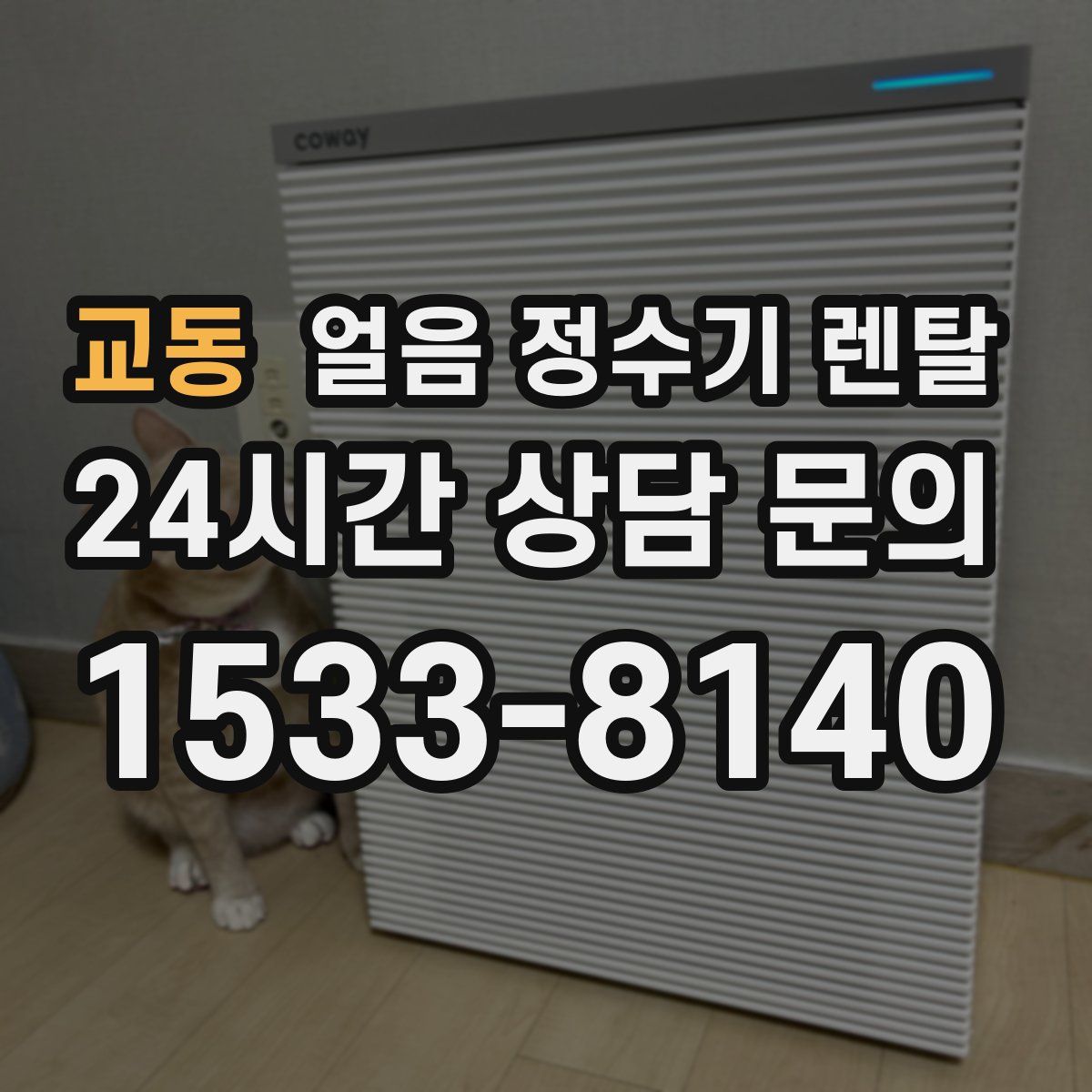 교동 얼음 정수기 렌탈