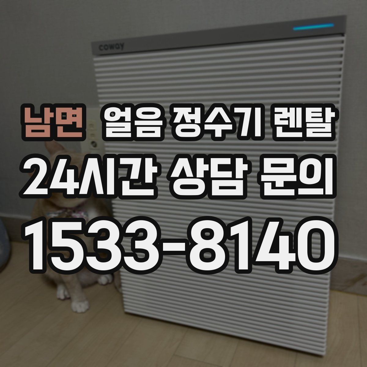 남면 얼음 정수기 렌탈 위생 때문에 초기 관리가 중요한 이유