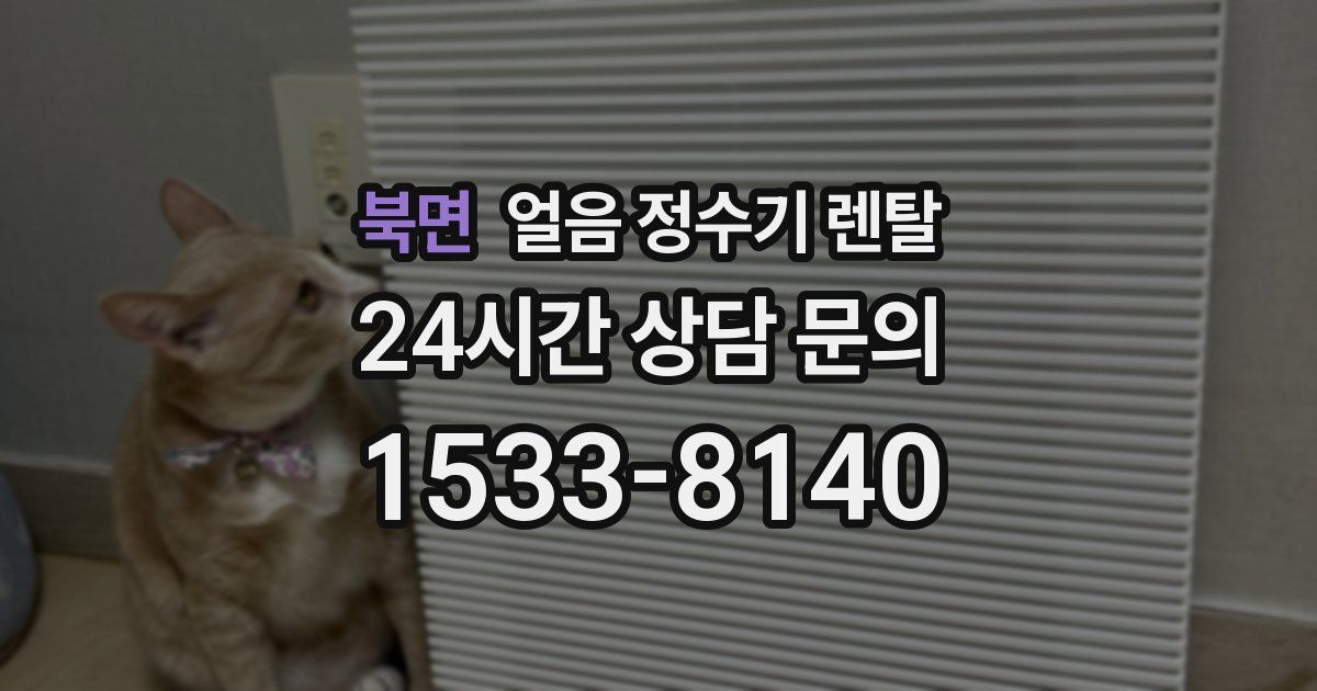 북면 얼음 정수기 렌탈