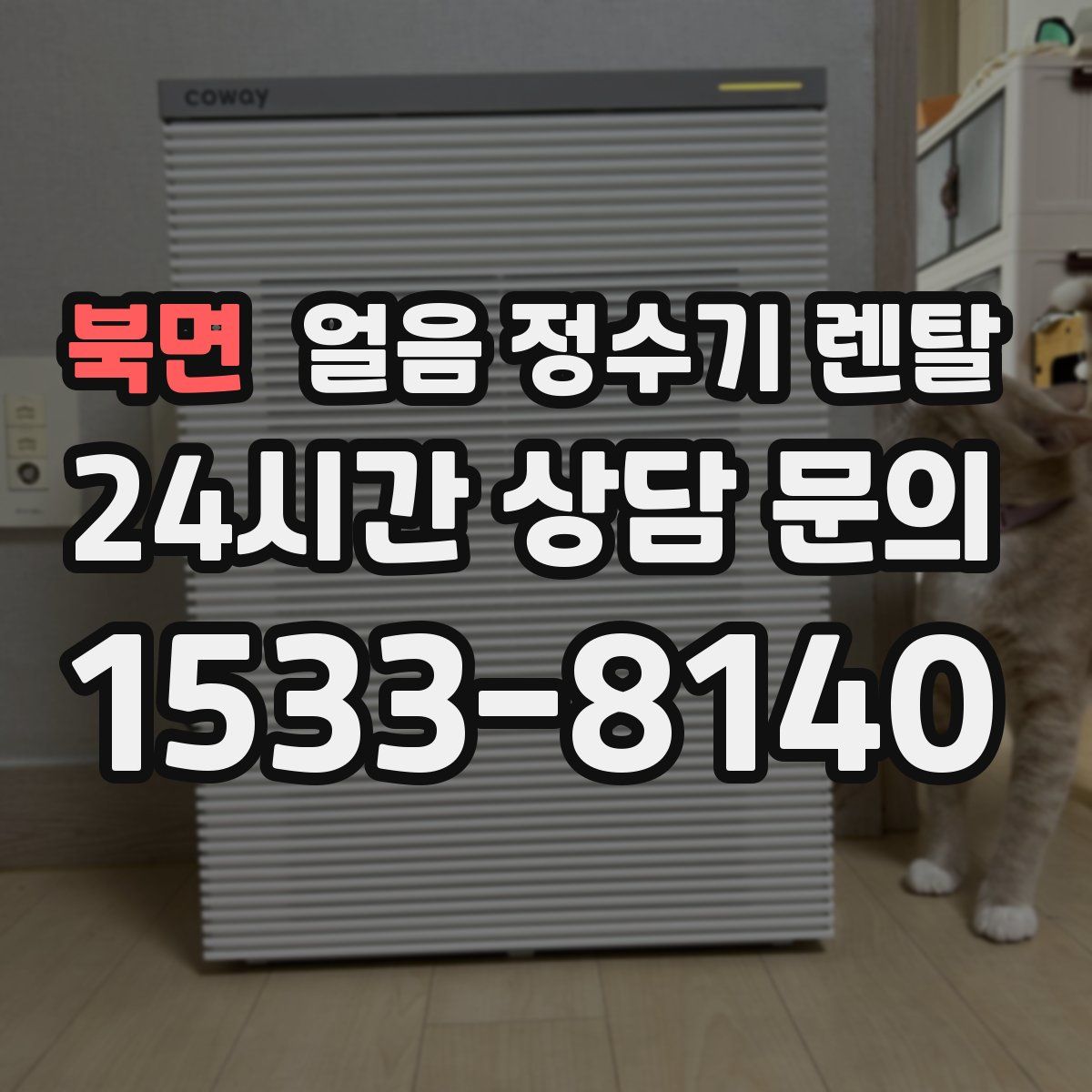 북면 얼음 정수기 렌탈