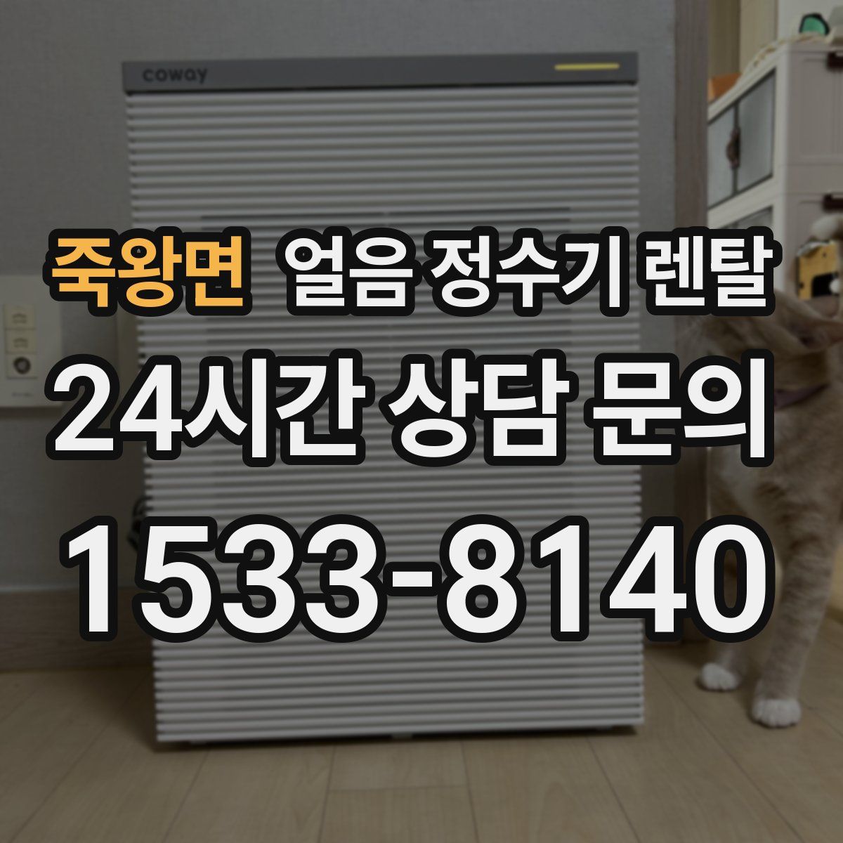 죽왕면 얼음 정수기 렌탈