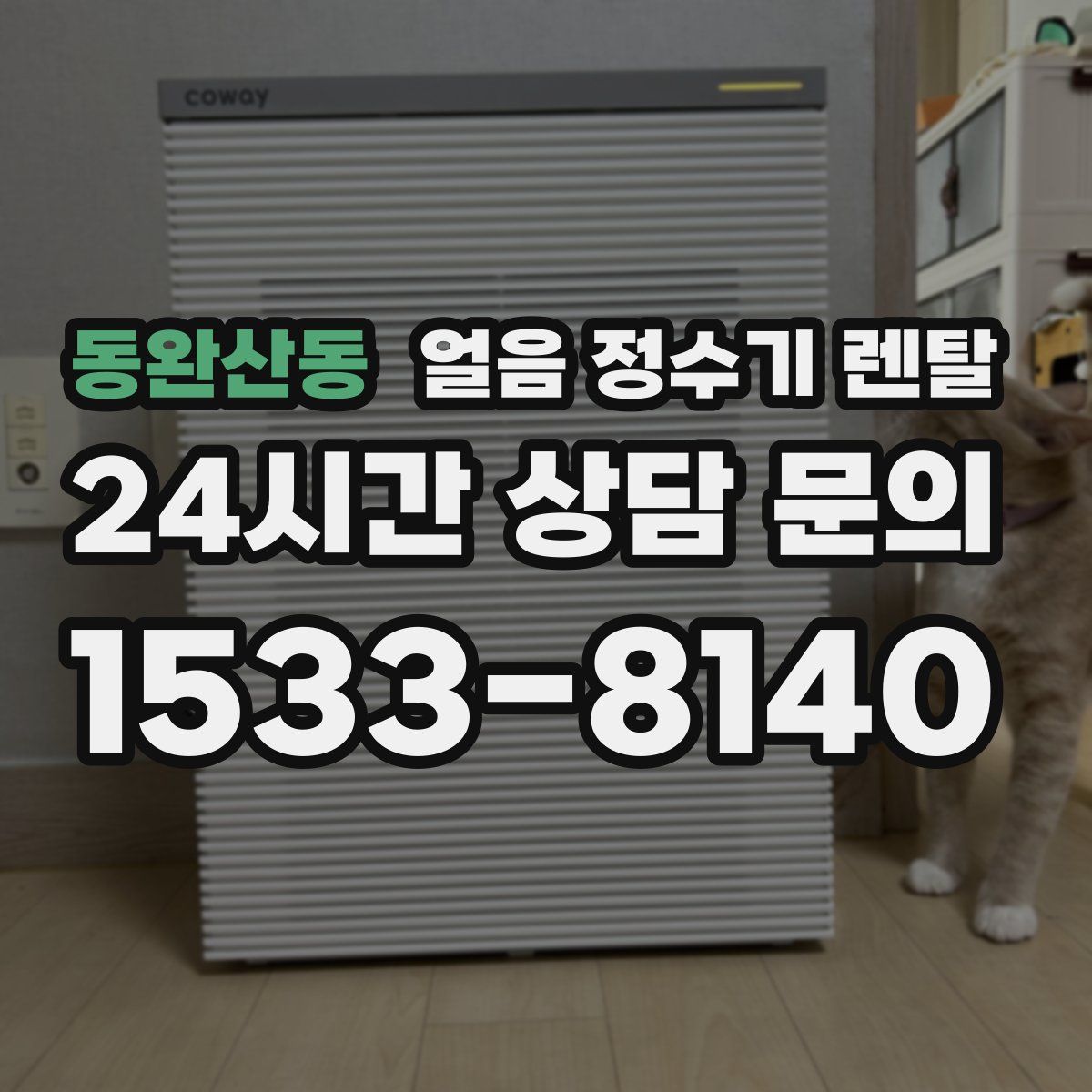 동완산동 얼음 정수기 렌탈