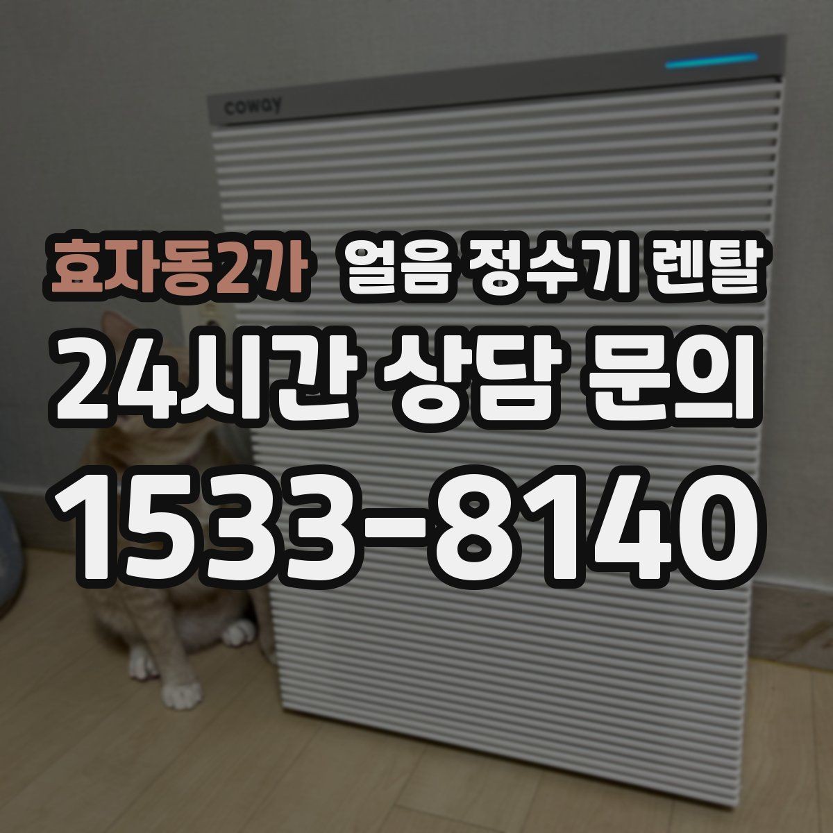 효자동2가 얼음 정수기 렌탈 제빙부 습기 관리가 중요한 이유
