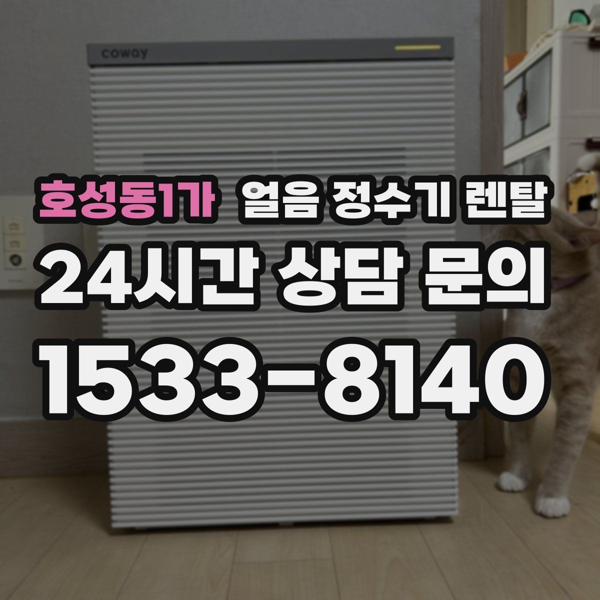 호성동1가 얼음 정수기 렌탈