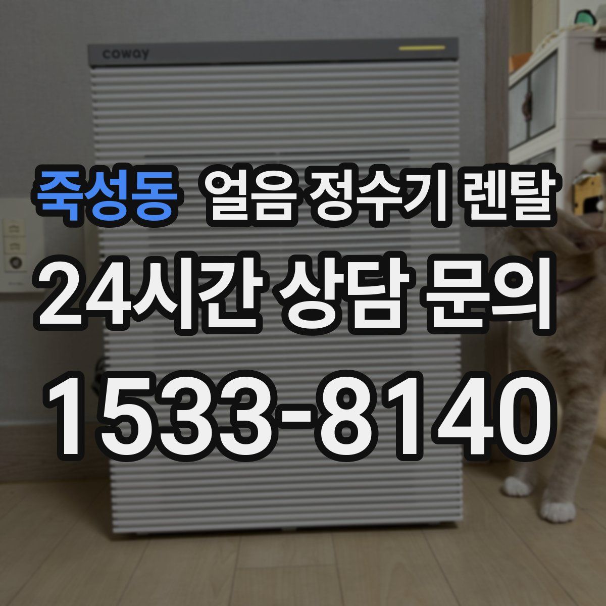 죽성동 얼음 정수기 렌탈