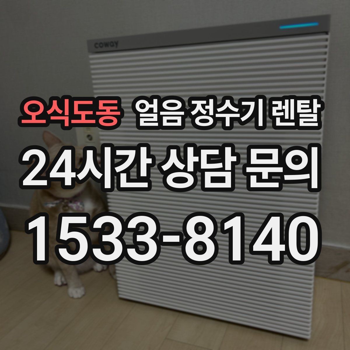 오식도동 얼음 정수기 렌탈 얼음틀 냉동실 냄새에서 해방되는 방법