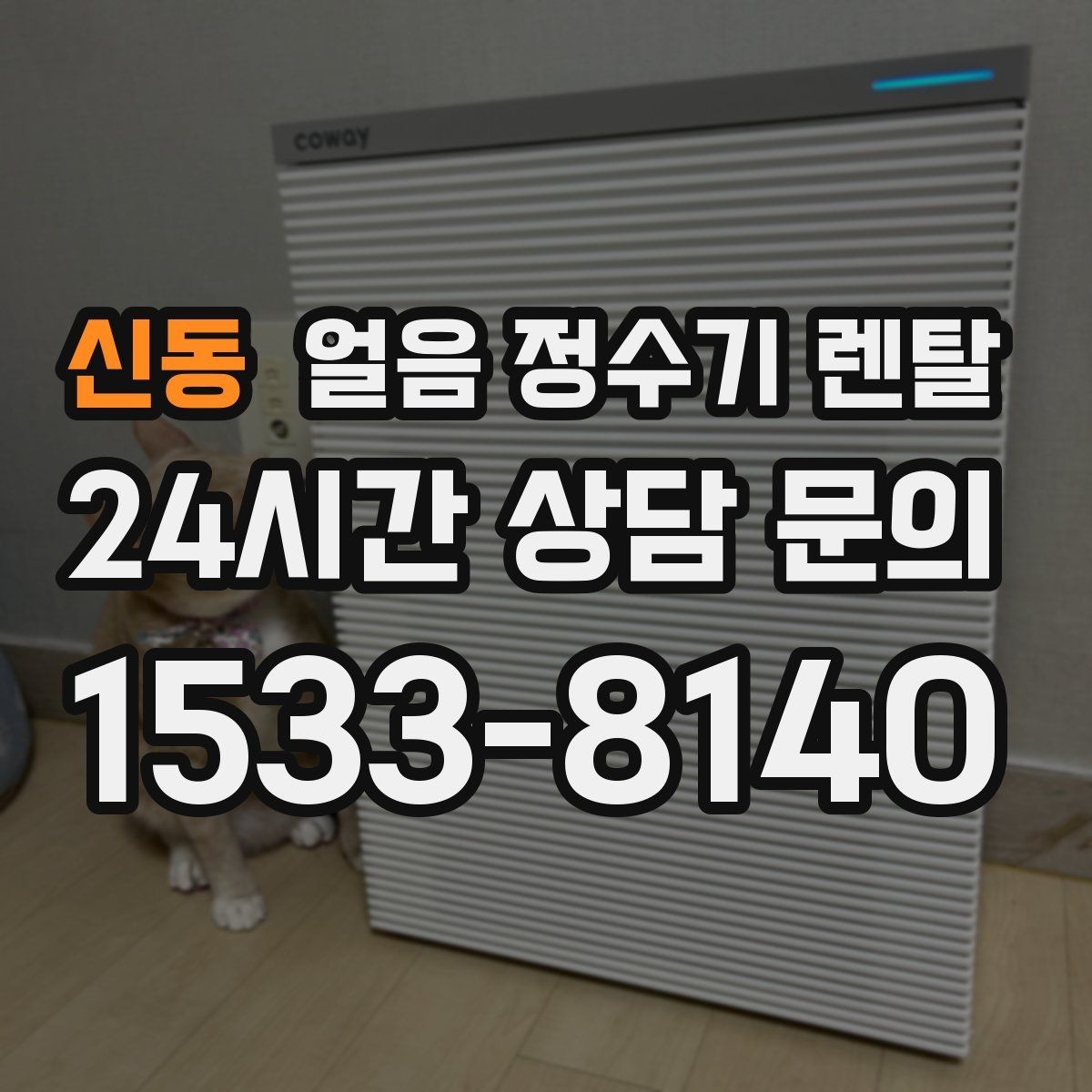 신동 얼음 정수기 렌탈 사은품보다 관리 위생 조건이 중요한 이유