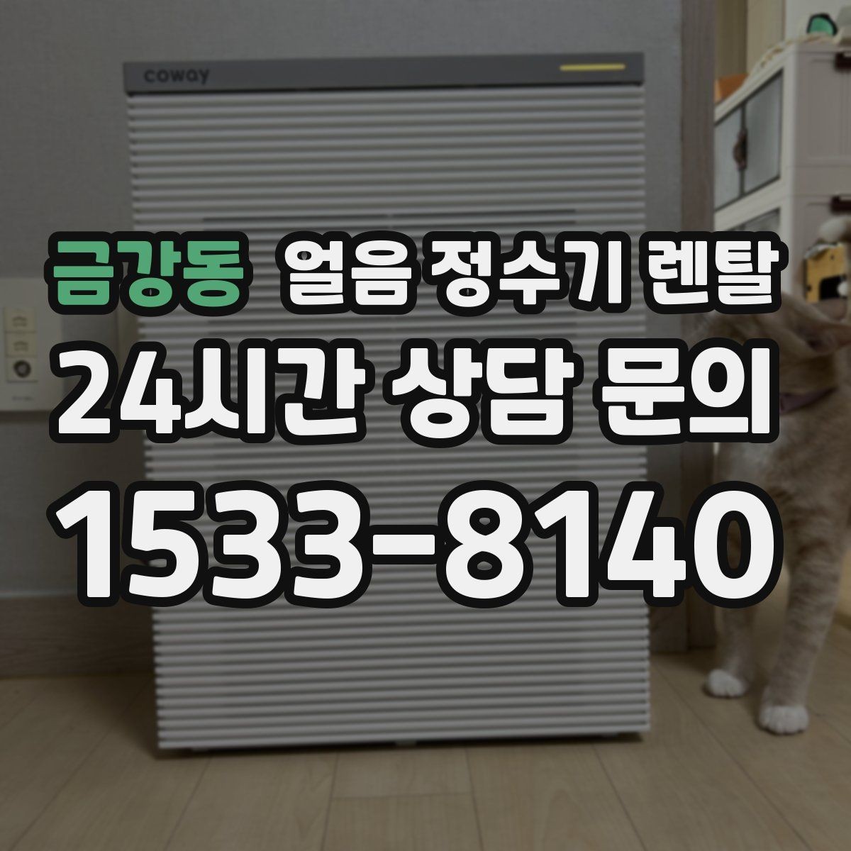금강동 얼음 정수기 렌탈 하루 얼음 사용량으로 모델 고르는 방법