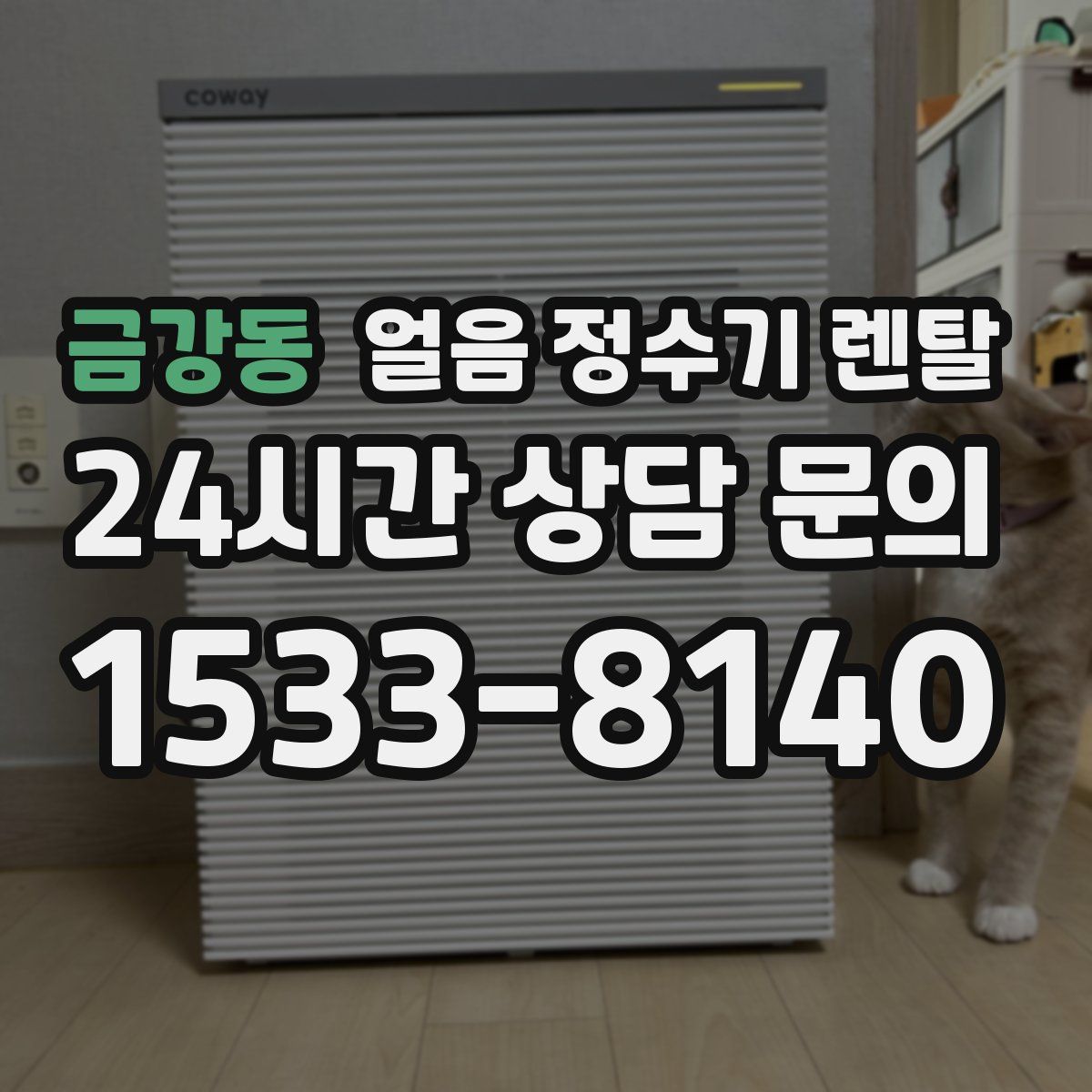 금강동 얼음 정수기 렌탈