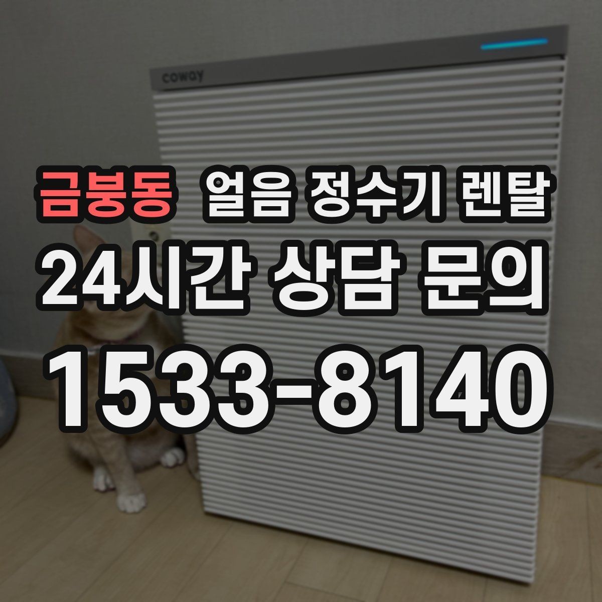 금붕동 얼음 정수기 렌탈 카드 할인 적용 전 확인할 체크리스트