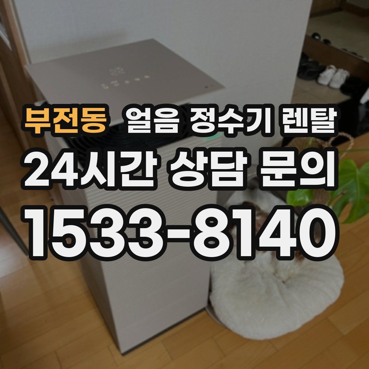 부전동 얼음 정수기 렌탈