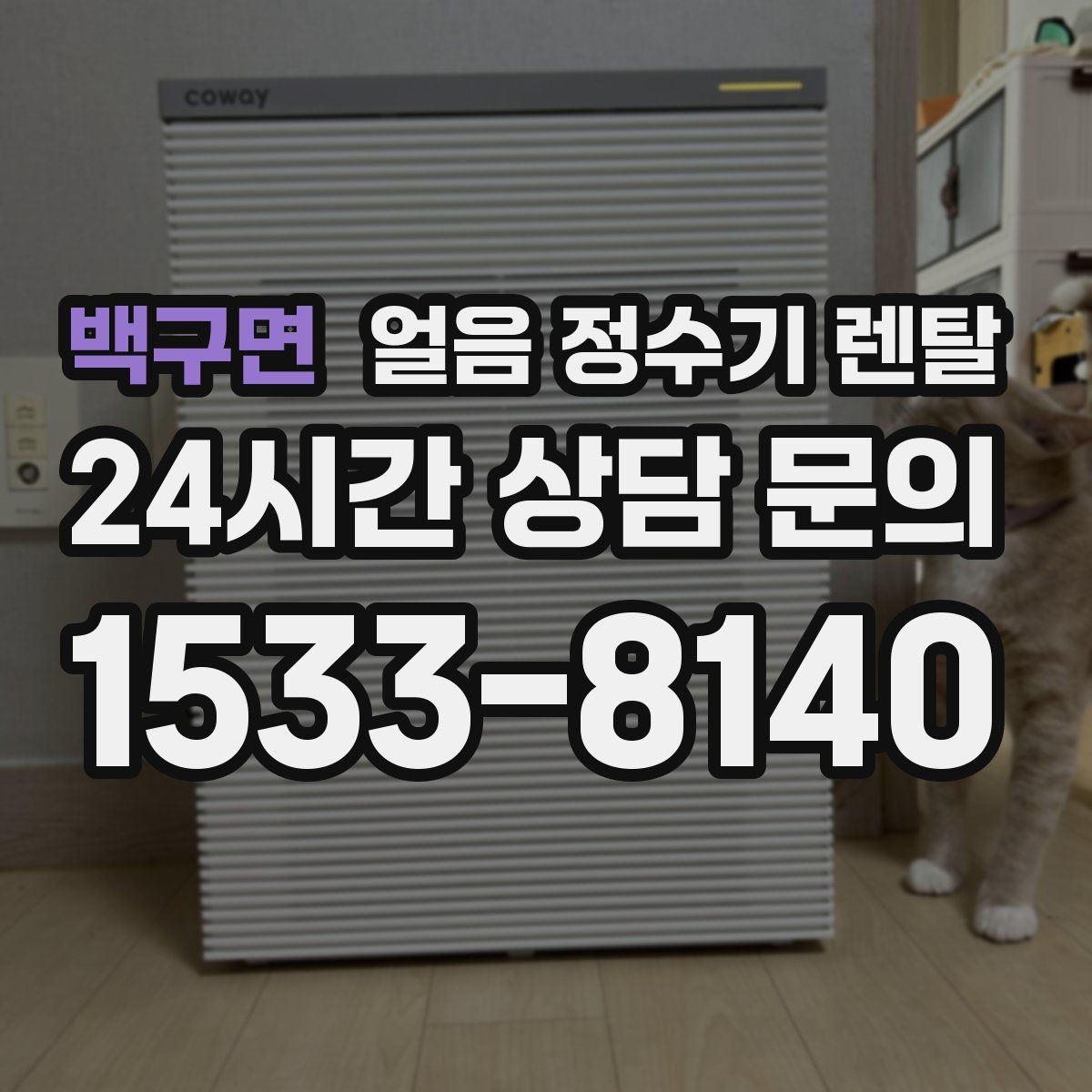 백구면 얼음 정수기 렌탈 자동 세척 자동 살균 기능 비교 포인트