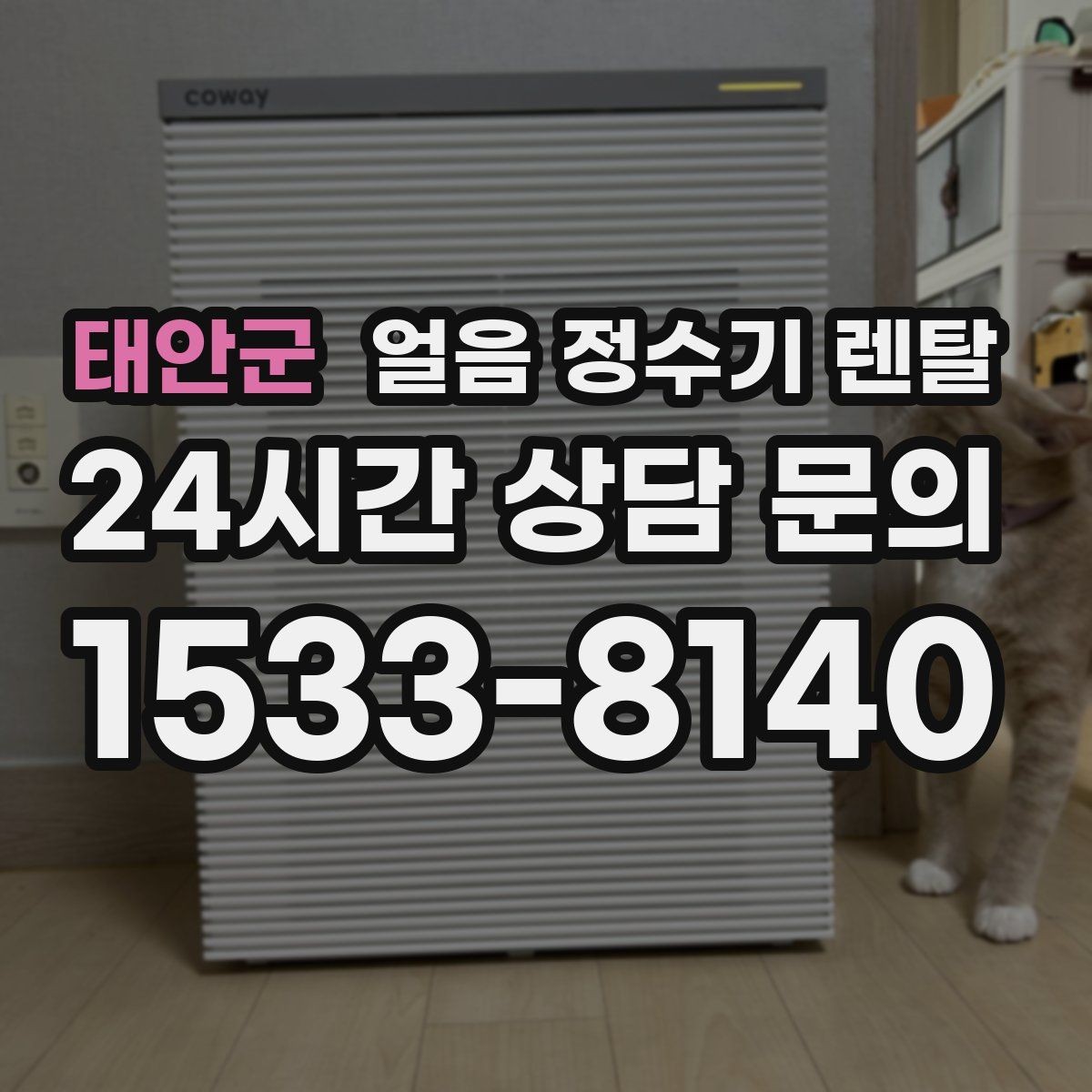 태안군 얼음 정수기 렌탈 큰 텀블러도 닿지 않는 출수구가 좋은 이유