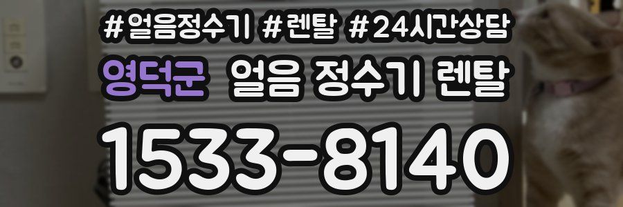 영덕군 얼음 정수기 렌탈