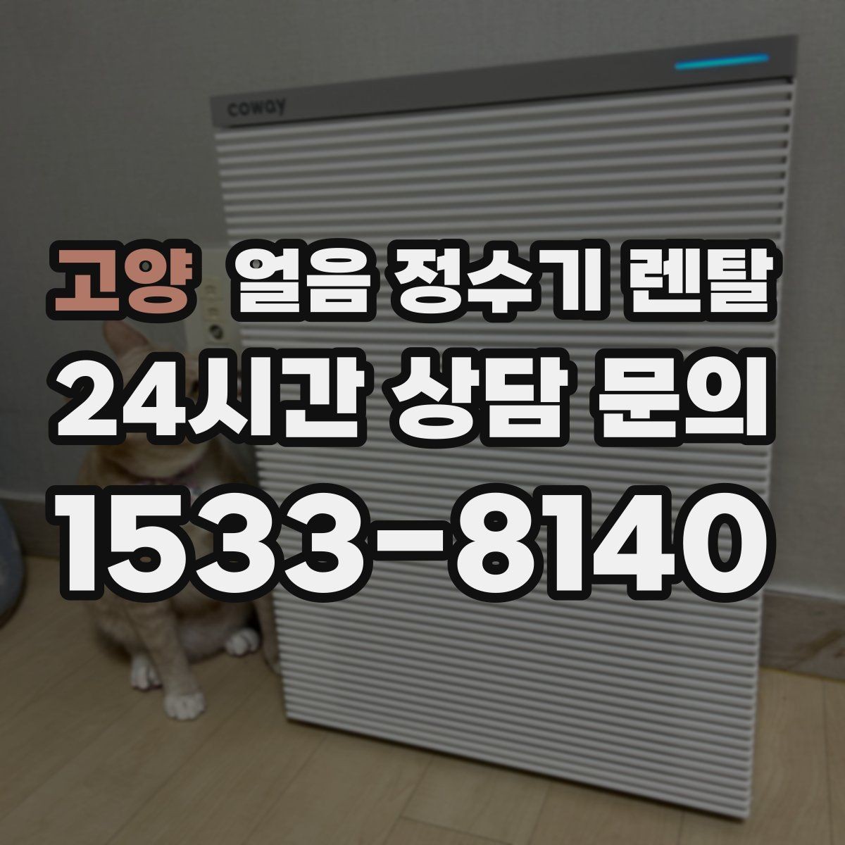 고양 얼음 정수기 렌탈 선택 기준을 한 장으로 정리했습니다