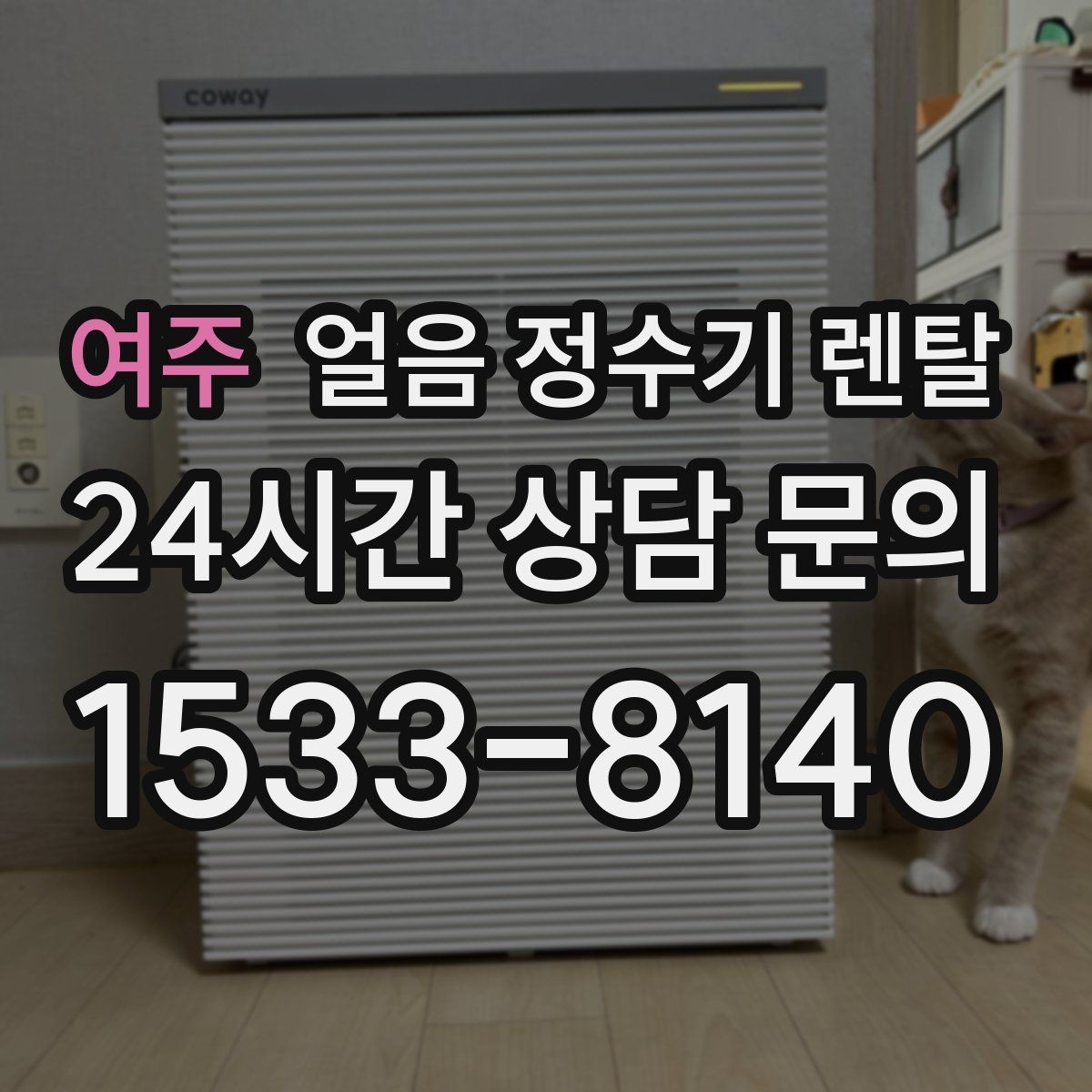 여주 얼음 정수기 렌탈 냉각 성능이 체감되는 포인트 정리