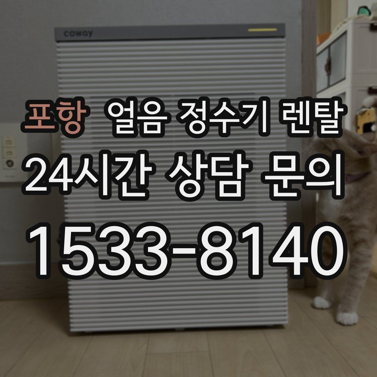 포항 얼음 정수기 렌탈 파티 모임 많은 집이 만족하는 포인트