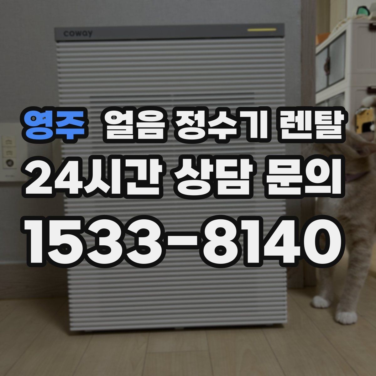 영주 얼음 정수기 렌탈 데스크형이 편한 주방 동선은 이런 경우