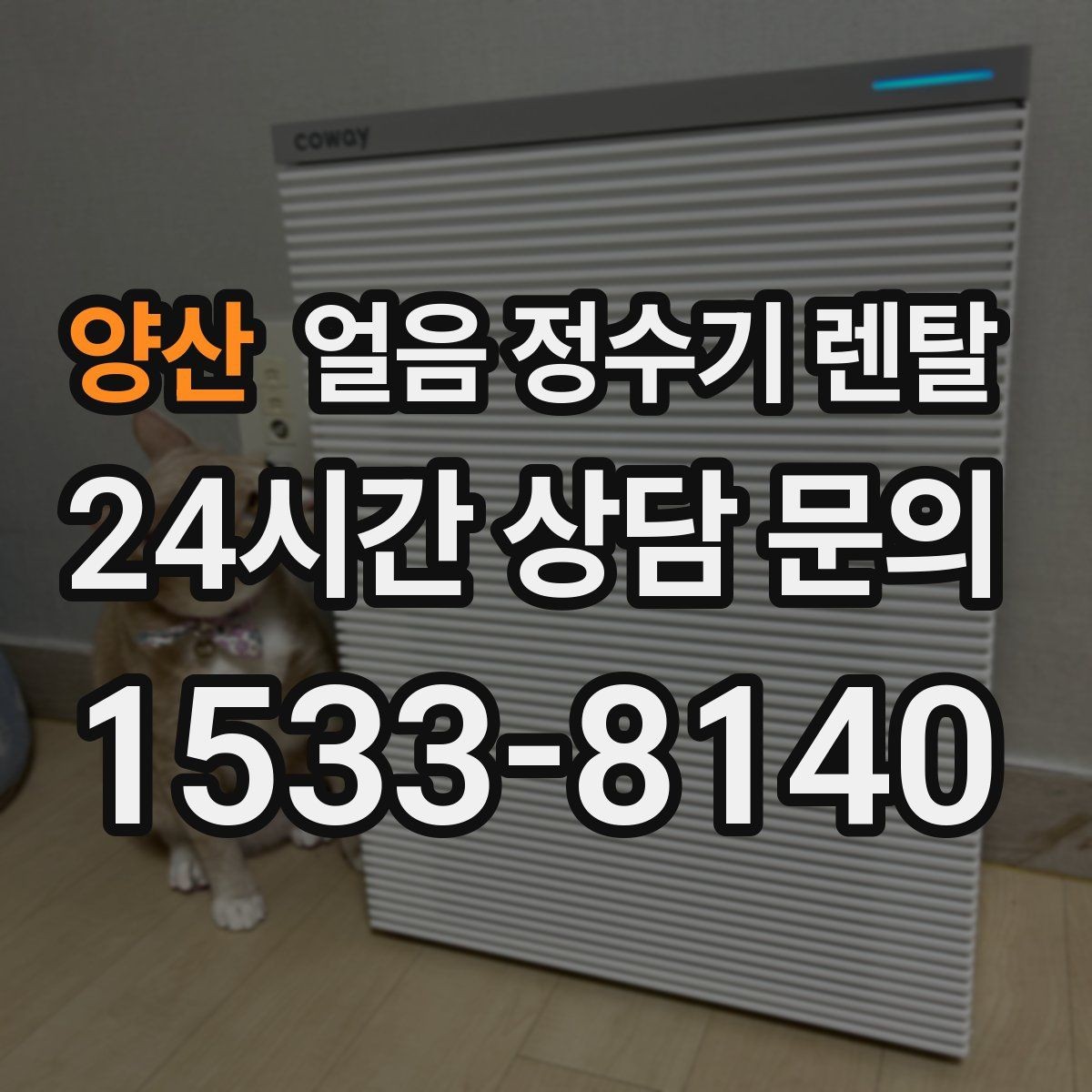 양산 얼음 정수기 렌탈 카페처럼 쓰고 싶다면 이 기능을 보세요