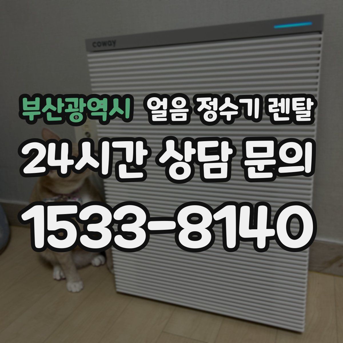 부산광역시 얼음 정수기 렌탈 얼음 통 분리 세척 가능한지 확인해야 하는 이유