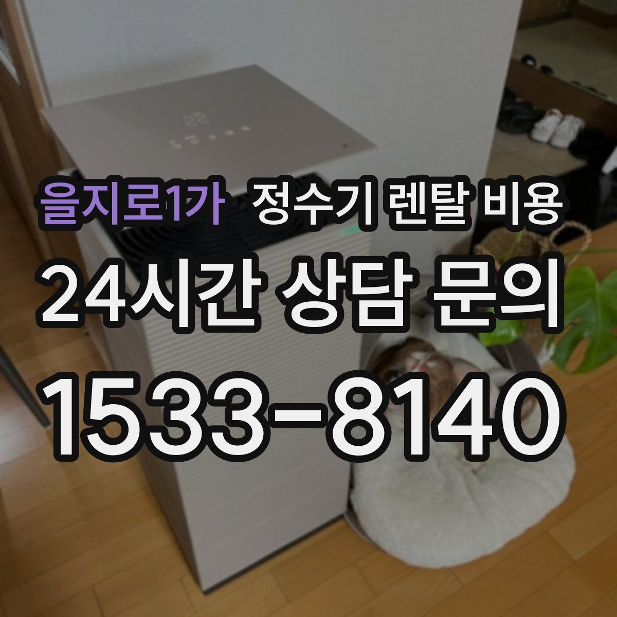 을지로1가 정수기 렌탈 비용