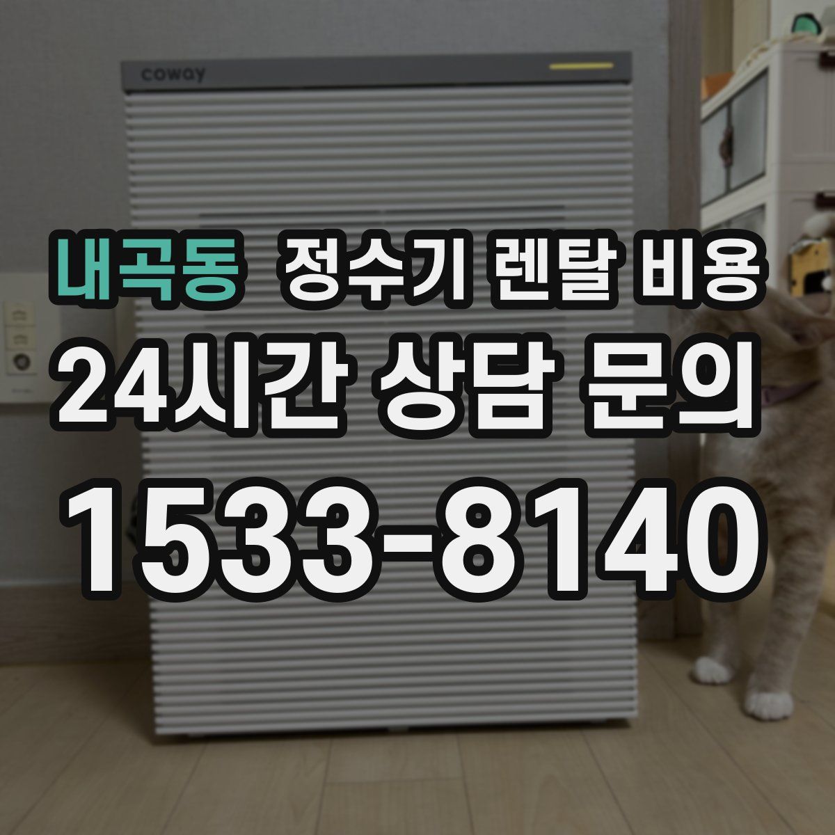 내곡동 정수기 렌탈 비용