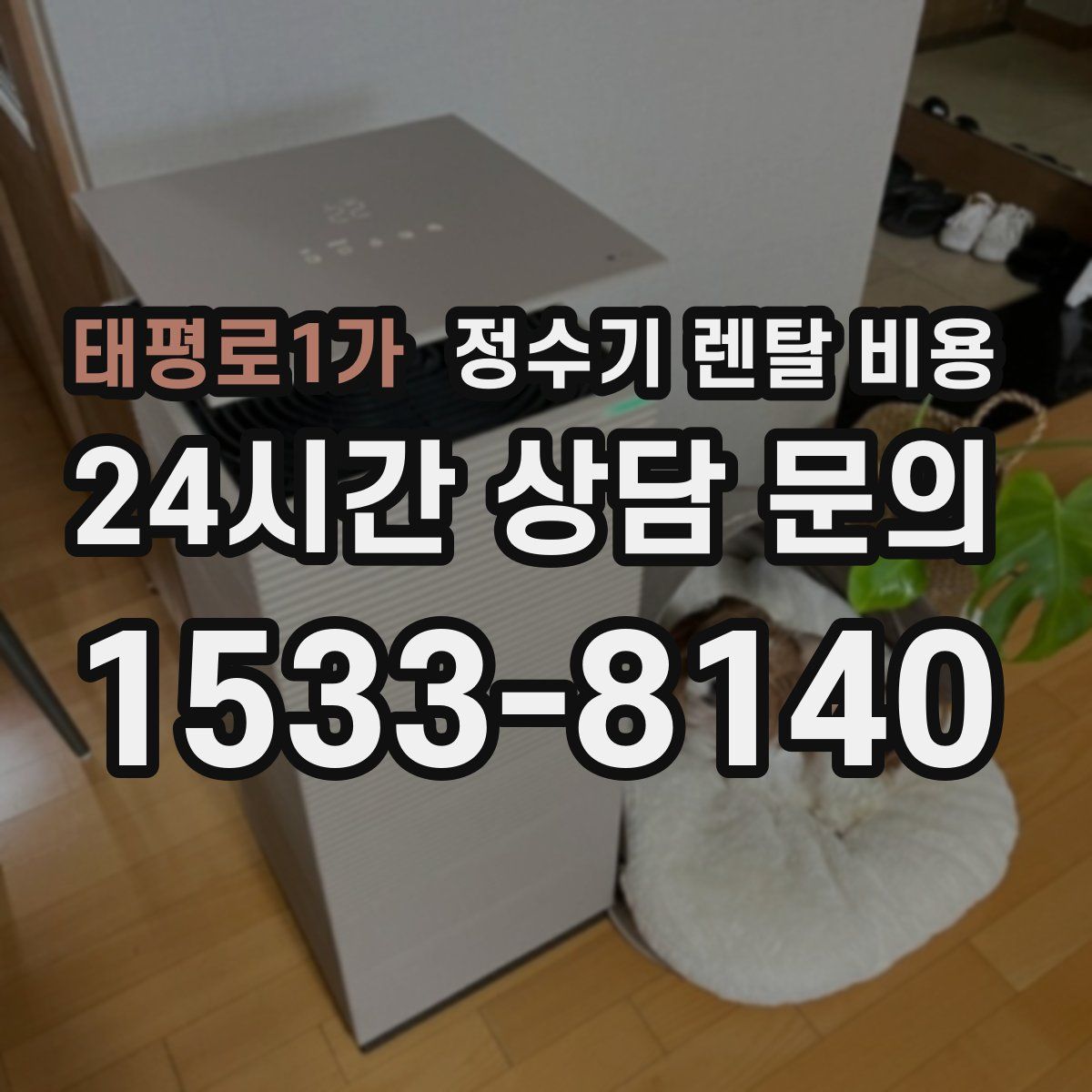 태평로1가 정수기 렌탈 비용