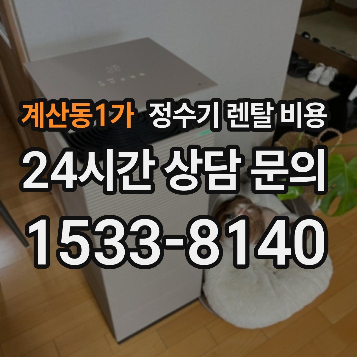 계산동1가 정수기 렌탈 비용 필터 직접 교체가 번거로운 경우 선택 기준