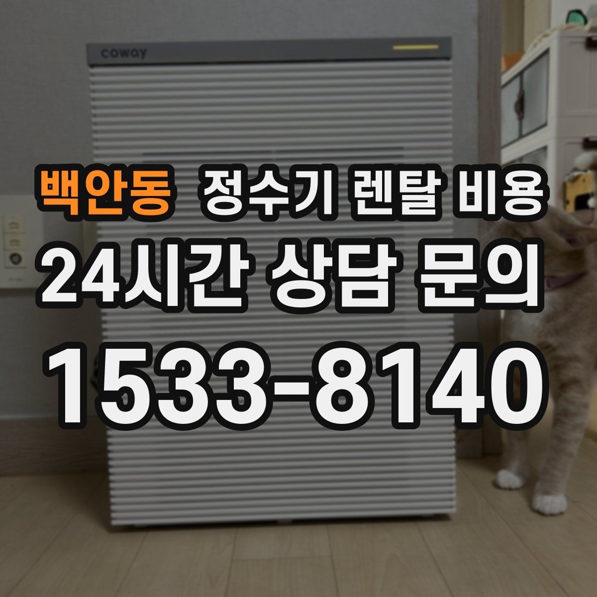 백안동 정수기 렌탈 비용 사무실용 선택 기준 정리