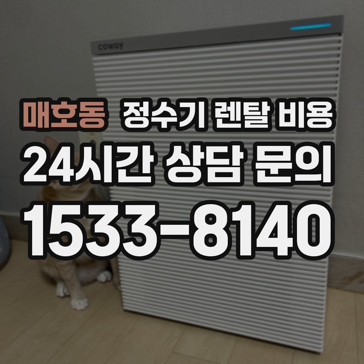 매호동 정수기 렌탈 비용