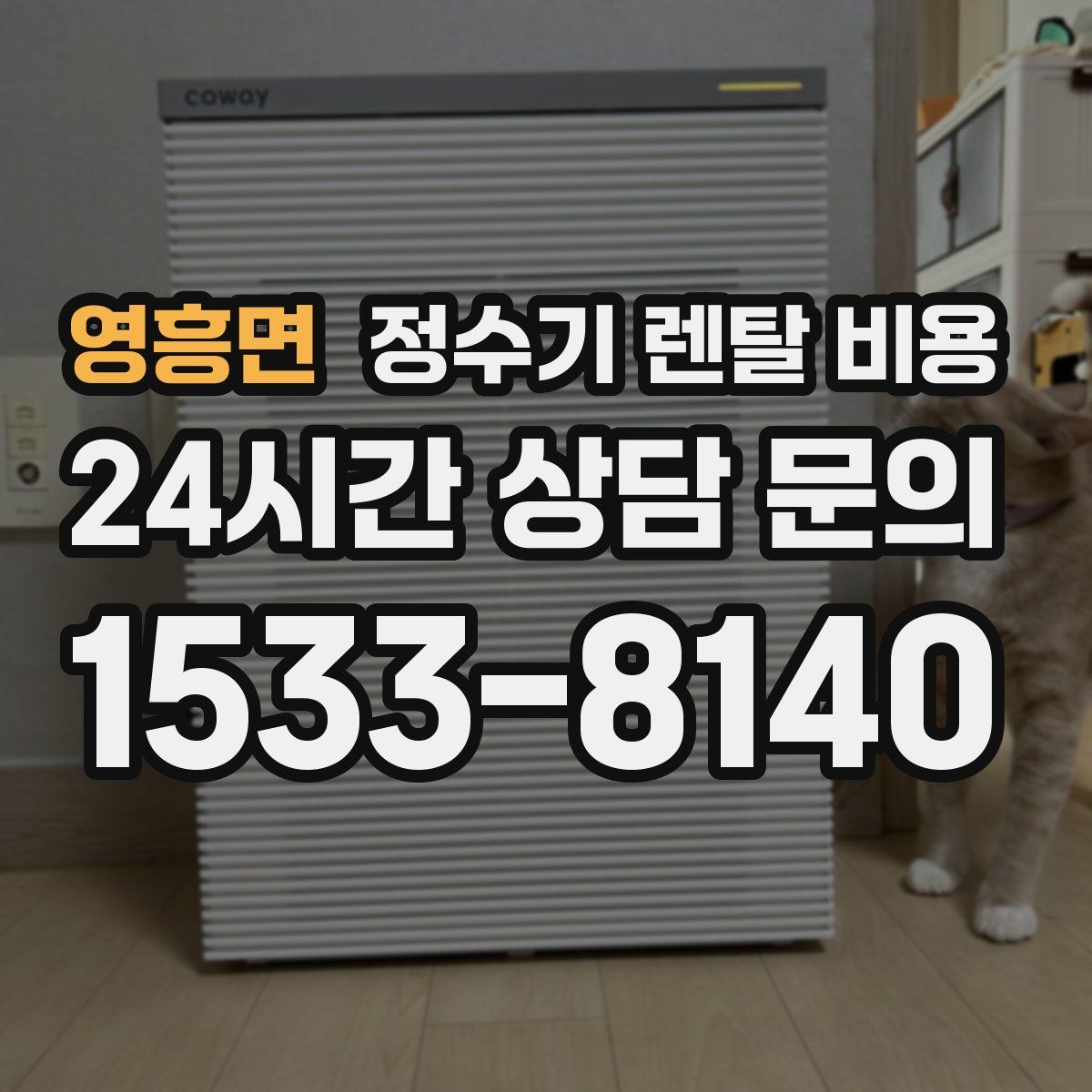 영흥면 정수기 렌탈 비용