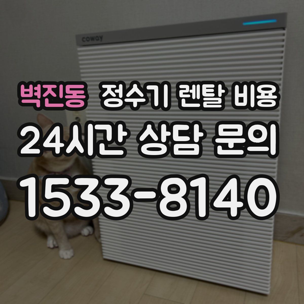 벽진동 정수기 렌탈 비용