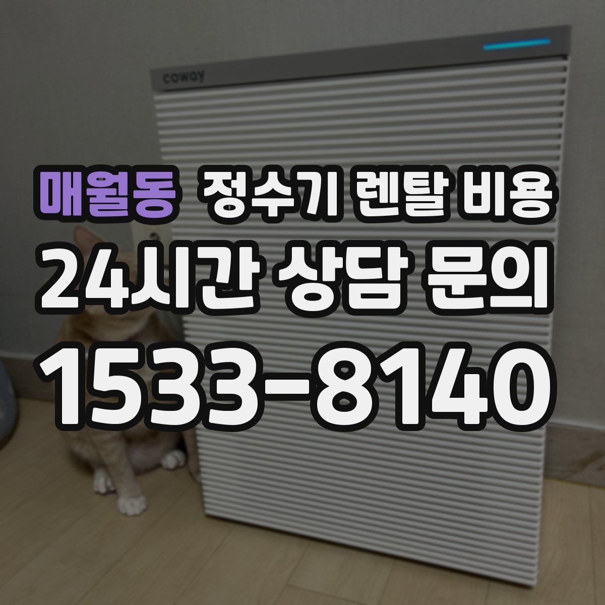 매월동 정수기 렌탈 비용 냉수 사용이 많은 집의 선택 기준