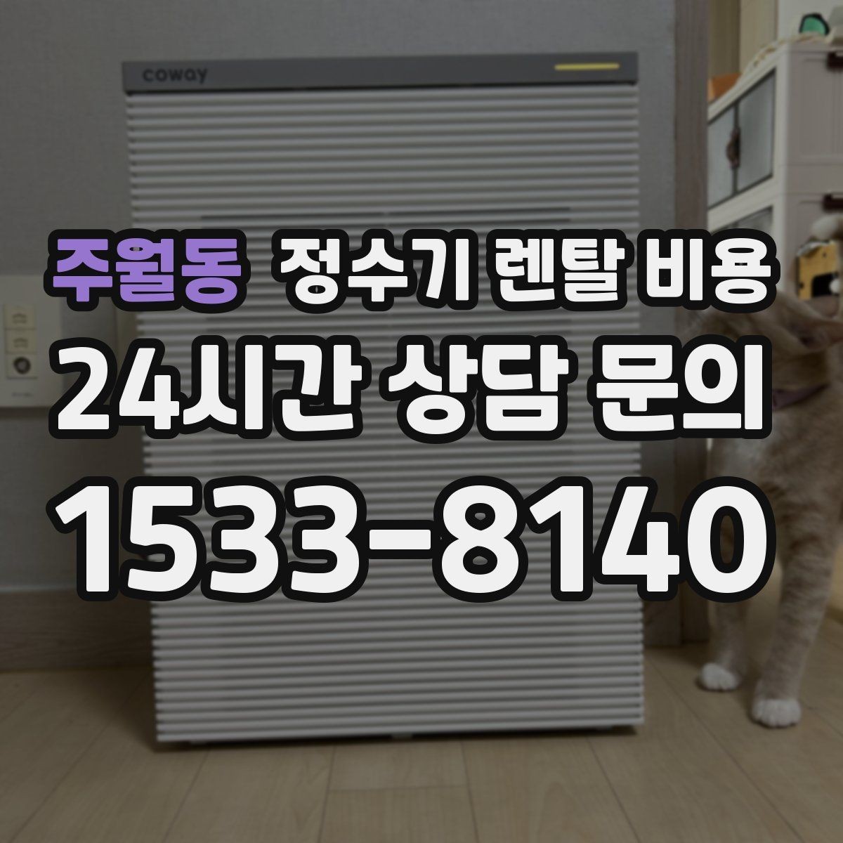 주월동 정수기 렌탈 비용 냉수 사용이 많은 집의 선택 기준
