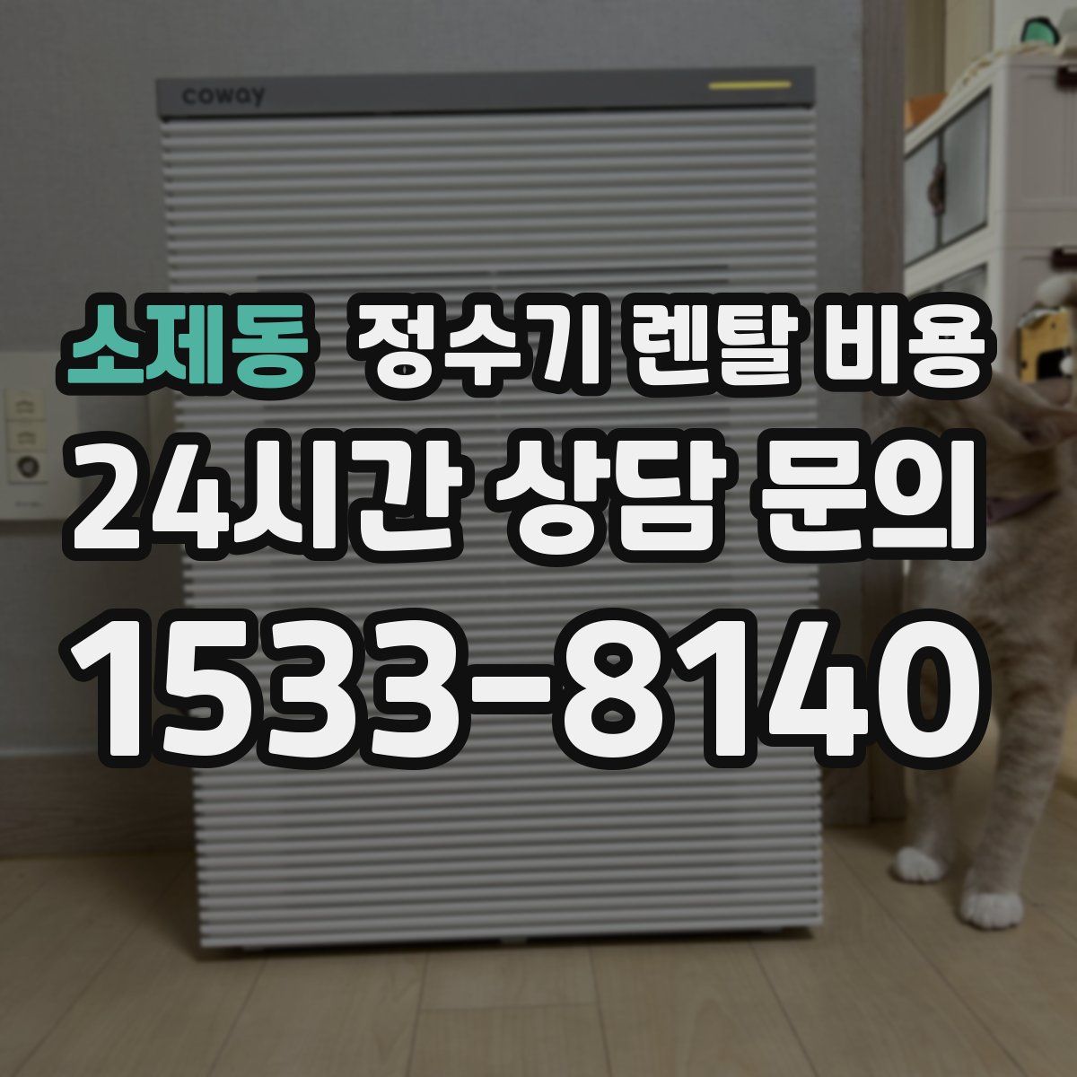 소제동 정수기 렌탈 비용