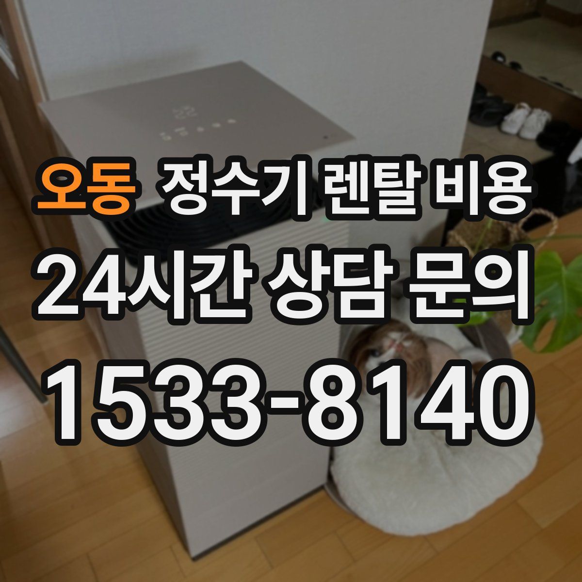 오동 정수기 렌탈 비용