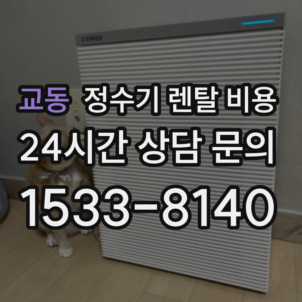교동 정수기 렌탈 비용 가장 중요한 기준 한 가지는 무엇일까