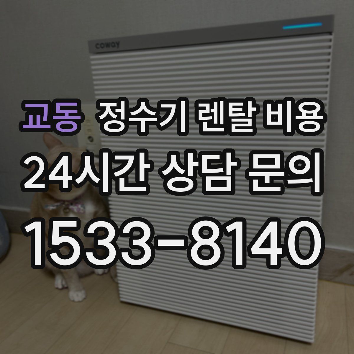 교동 정수기 렌탈 비용