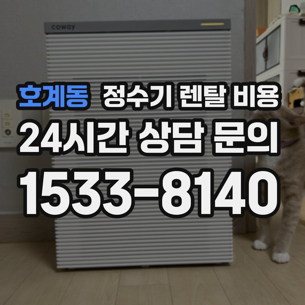 호계동 정수기 렌탈 비용