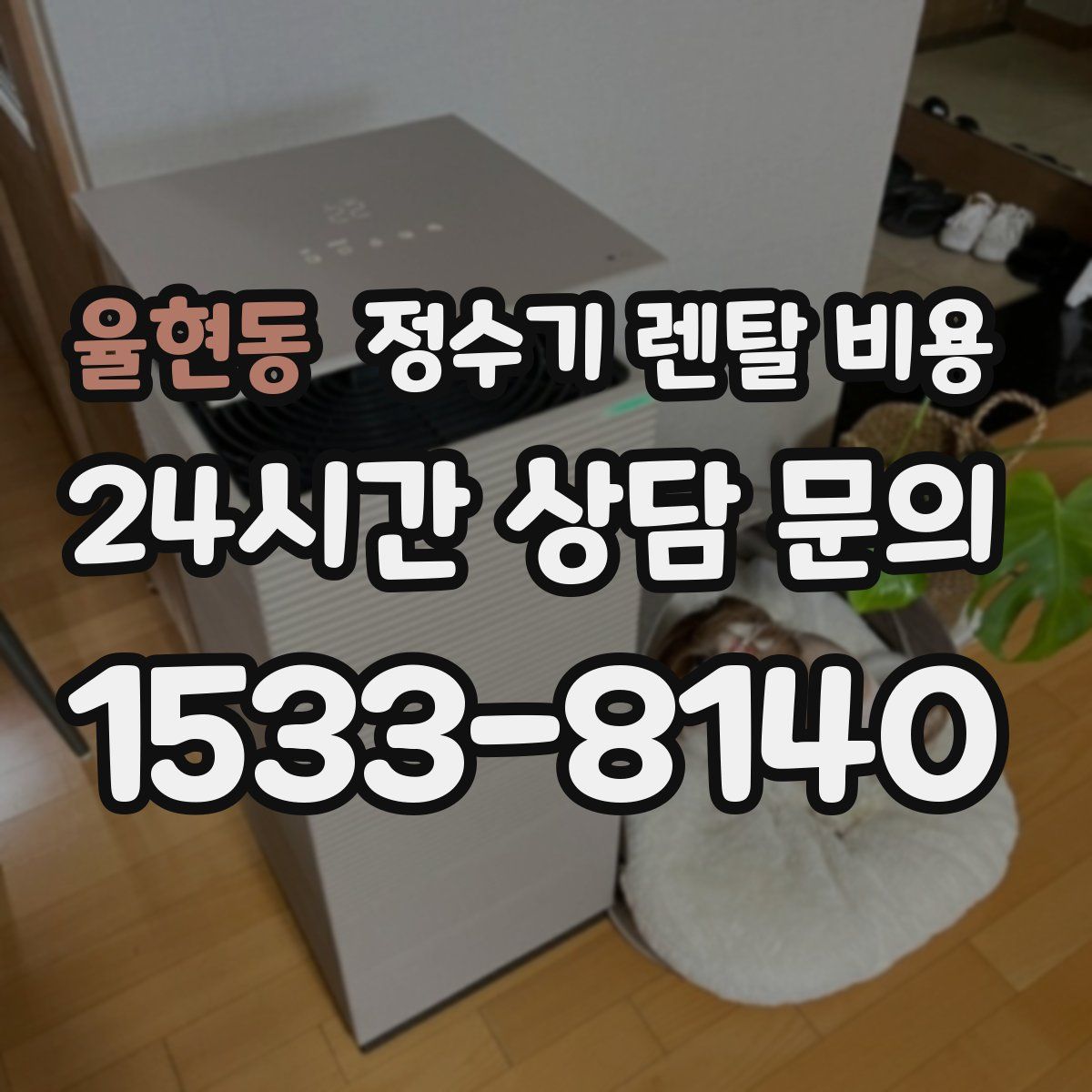 율현동 정수기 렌탈 비용