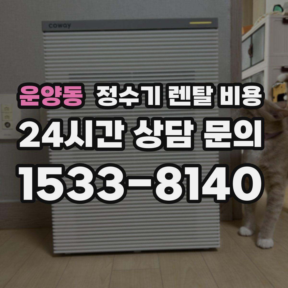 운양동 정수기 렌탈 비용