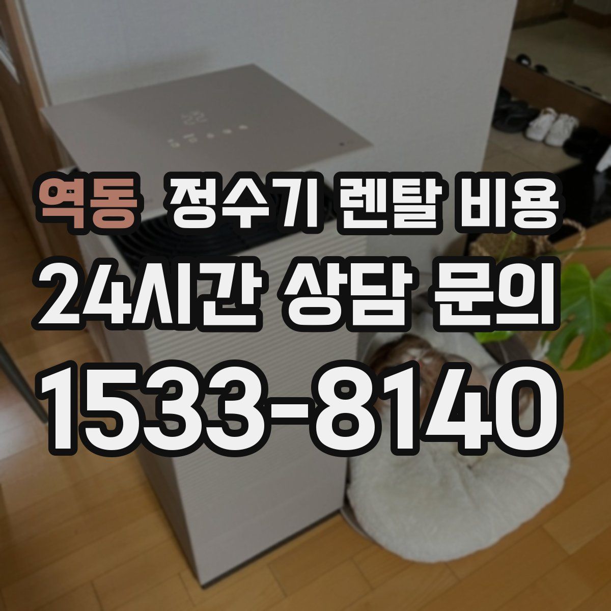 역동 정수기 렌탈 비용