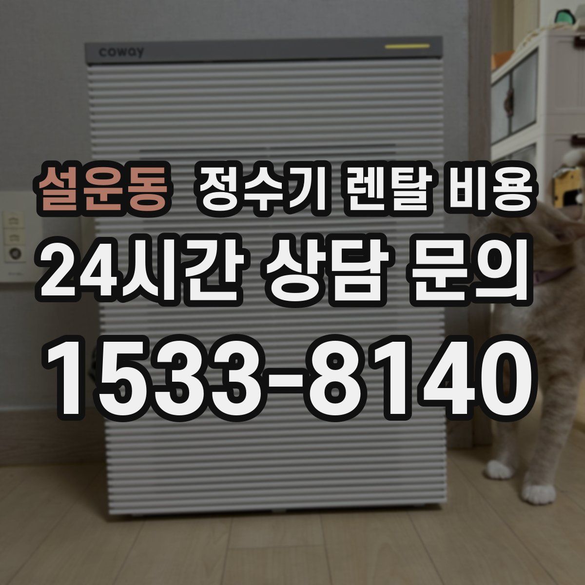 설운동 정수기 렌탈 비용