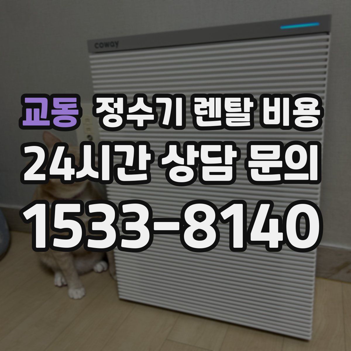 교동 정수기 렌탈 비용