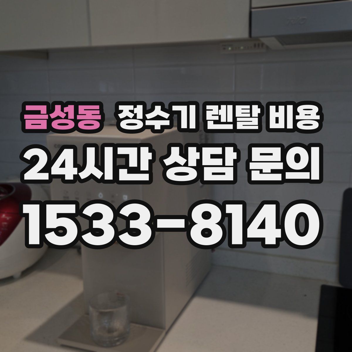 금성동 정수기 렌탈 비용