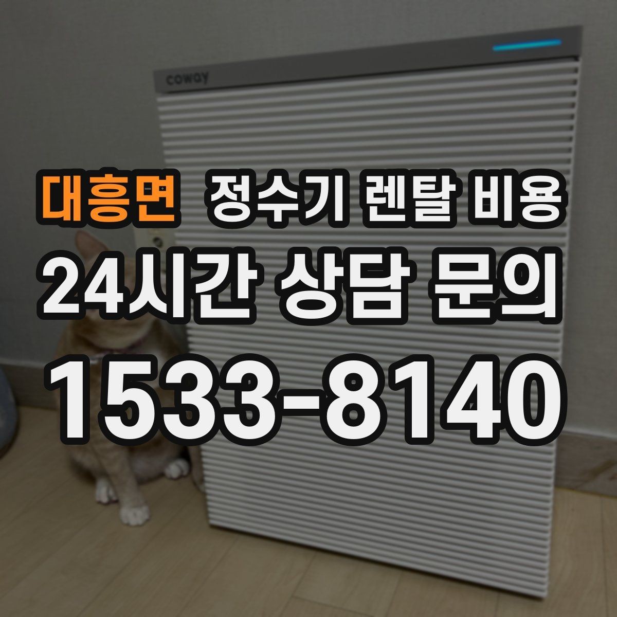 대흥면 정수기 렌탈 비용 전문 설치가 필요한 이유