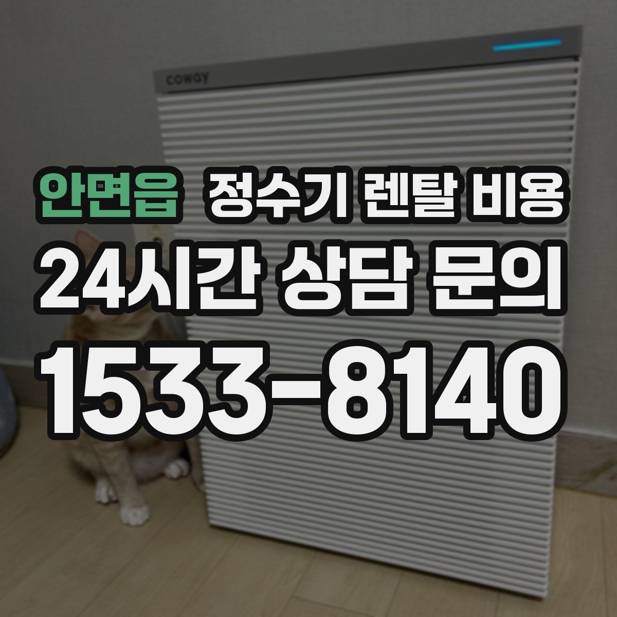안면읍 정수기 렌탈 비용